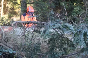L'accident mortel a eu lieu en 2016 dans un bois de Chanteuges.