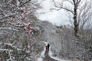 La neige recouvre la Haute-Loire.