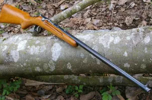 C'est à l'écart d'une partie de chasse que l'agression sexuelle se serait produite.
